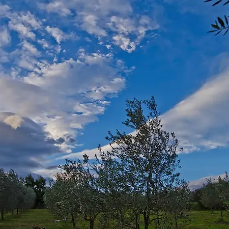 Farm stay Agriturismo Tenuta Il Vallone *